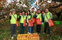  NH농협은행 경남본부, '최우수고객과 함께 농촌일손돕기 및 농촌체험' 실시