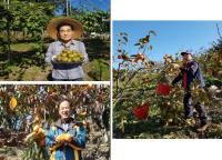 경상남도 "경남 과일, 전국 대표과일선발대회 ‘최우수상’ 수상"