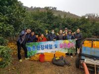 농신보 경남보증센터, 농촌일손 돕기 실시