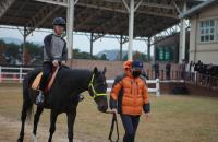 ‘지역 대학생 취업 고민’ 해결사...한국마사회 부경본부