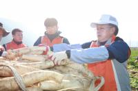 경남농협, ‘또 하나의 마을 만들기’ 봉사활동