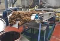 우뭇가사리로 생리대 등 위생용품 생산…마린펄프의 신소재 도전