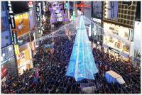 부산시, 제10회 부산시민트리문화축제’ 내달 1일부터 개최