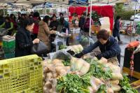 창원하나로클럽 “올 겨울 김장은 농협마트에서 준비하세요”