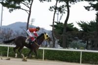 '킹삭스 의외의 작전으로 우승' 브리더스컵 리플레이