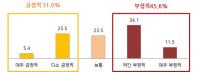 제주도민 45.6% '인구유입' 부정적 인식