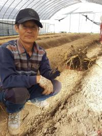 곡성 이옥신 유기농명인, 유기인삼으로 억대 소득