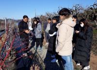 김해시, ‘2019년 청년 농업인 영농정착 지원사업’ 신청 접수 