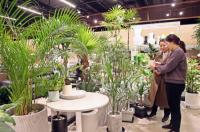 신세계센텀시티 “집안 환기 제대로 못 할 때는 공기 정화식물이 대안”