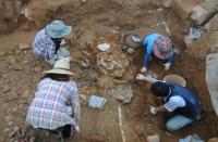 김해시, 대성동고분박물관 소장유물 1만점 돌파