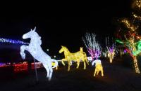 경주로 위로 형형색색의 빛줄기 펼쳐지는 렛츠런파크 부경