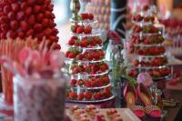 힐튼 부산, 딸기의 대 향연 ‘크레이지 인 핑크’ 디저트 뷔페 선봬