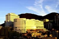  고신의대 의사국가시험 전원 합격