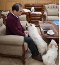 부산시, 유기동물 입양 위해 발 벗고 나서