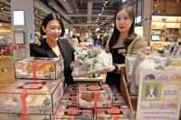 “습기도 제거하고 인테리어에도 좋은 펫 인형” 