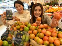 [롯데쇼핑 소식] “짭쪼름한 대저 토마토 맛보세요” 外