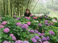 깈해시 "슬로시티 김해, 제대로 느껴보세요"