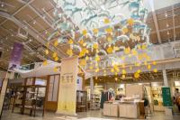 세정 라이프스타일샵 동춘상회, 제주 기획전 ‘/span>봄,봉봉’ 진행