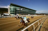 한국마사회 렛츠런파크 부경, 미세먼지 대응에 앞장