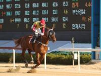 렛츠런파크 부경, '노장 투혼 챔프라인'... 점보블레이드에 짜릿한 우승 