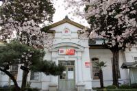 진해우체국, 진해군항제 기간 중 '나만의 우표 & 우체국 쇼핑 한마당' 개최 