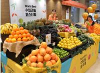부산 롯데백화점 "열대 수입과일로 소비자 입맛 사로잡는다"