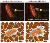 미세플라스틱 토양 속 생물 활동 방해