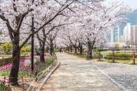 "2천년 러브스토리 가득한 김해로 봄 여행 오세요"