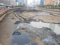 근본책 놔두고 땜질 처방? 부산 동천정비사업 예산낭비 논란