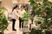 신세계 센텀시티 "살아있는 공기정화기 보러 오세요"...'공기정화식물 대전' 5일부터 진행