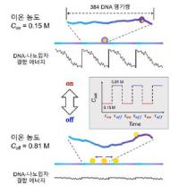 나노입자 특정 방향으로 이동시키는 브라운 모터 개발