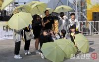 ‘노란 우산과 함께’