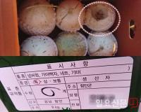 농민 가장한 장사꾼, 함안군서 무허가 농산물 판매로 ‘폭리’