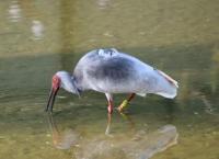 [경남도 브리핑]  ‘중소기업 디자인산업 육성 사업’ 본격 추진 外