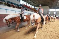 렛츠런파크 부산경남, ‘말산업 특성화고 대상’ 승마교육