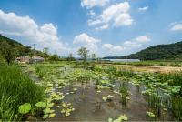 김해 화포천 습지로  ‘생물다양성의 날’ 축제 즐기러 오세요