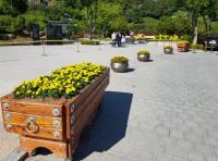 김해시, 진영 봉하마을 꽃 단장