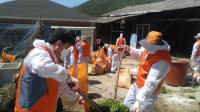 [경산시정] 용성면 지역사회보장협, 장애인가구 청소봉사 外