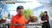 '서민갑부' 실내 수직정원 개발, 차별화된 방식으로 운영되는 화원