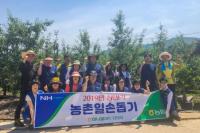 농협하나로마트 창원점, 영농철 농촌일손돕기 나서 