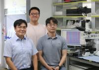  KAIST, DNA 마이크로패치 제작 기술 개발