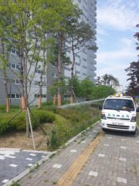 양주시, 매미나방 방제 총력