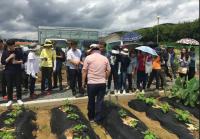 동남지방통계청, ‘작물 현장체험학습 및 청렴캠페인’ 실시