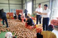 [경남농협 브리핑] 양파 1만톤 수출 위한 거침없는 행보 外