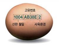 경북도, 달걀 껍데기 '산란일자 표시 의무' 본격 시행