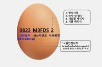 대구시"달걀, 산란일자 확인하세요"···표시제 23일 본격시행