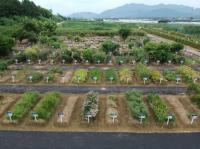 [경남도 브리핑] “사라져가는 토종작물 밀양서 본다” 外