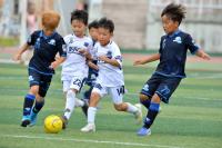 경주에서 12일간 열린 '2019화랑대기 전국 유소년축구대회' 성황리 마쳐