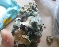 '곰팡이 개사료 사태' 견주-업체 모두 “억울해” 주장 까닭