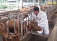 [경남도] “사전 예방체계 강화로 구제역 청정지역 지켜낸다” 外